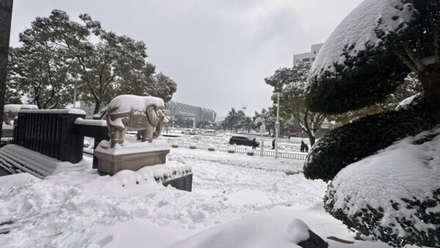 雪景