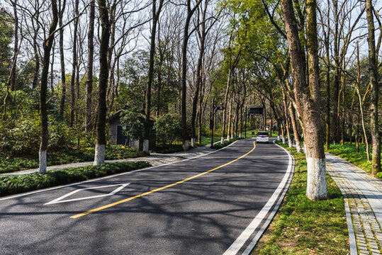 三臺山路