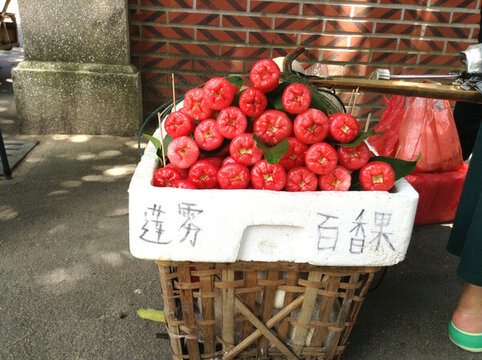 蓮霧