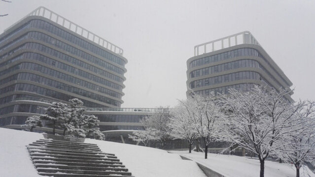 冬雪