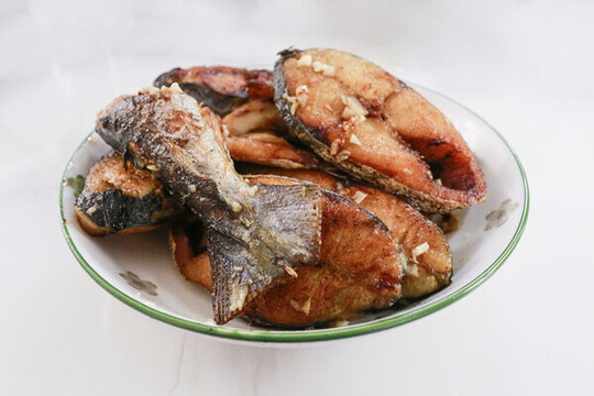 馬鮫魚