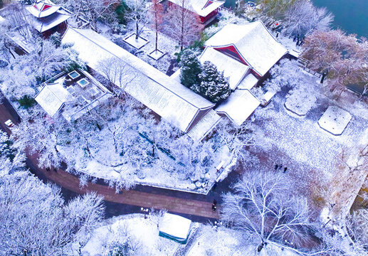 雪景