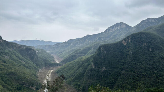 森林高山石頭