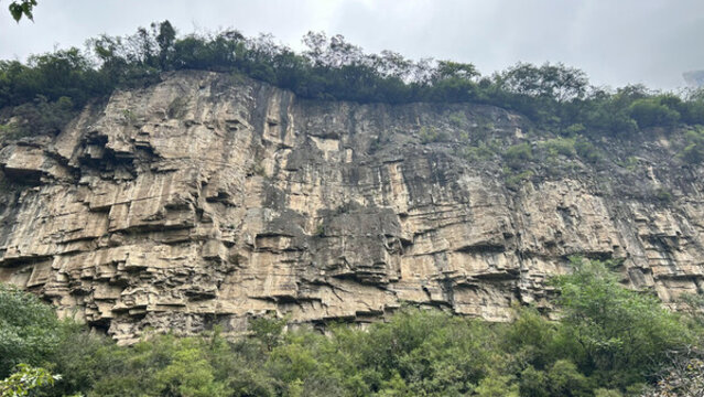 山水風(fēng)景深林高山