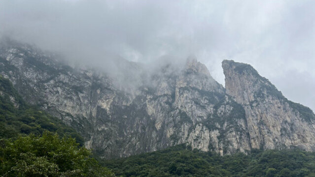 森林高山石頭