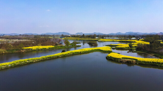 斜江河濕地