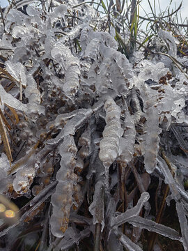 冰雪霧凇