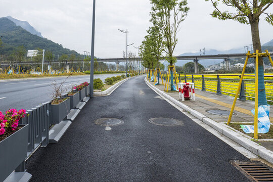 道路綠化美化