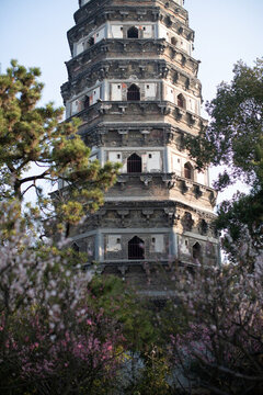 虎丘公園