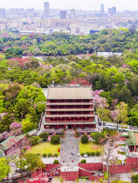 廣州鎮(zhèn)海樓春色