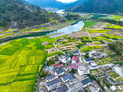 淳安梓桐鎮(zhèn)油菜花海