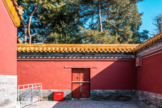 紅墻黃瓦藍天松樹光影