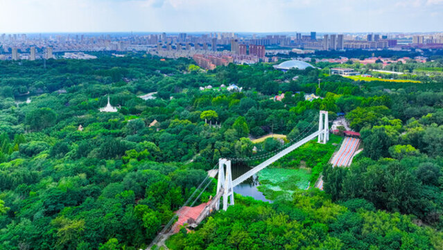 安丘青云山公園