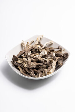 鹿茸菇