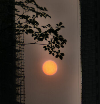 太陽