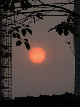 太陽(yáng)