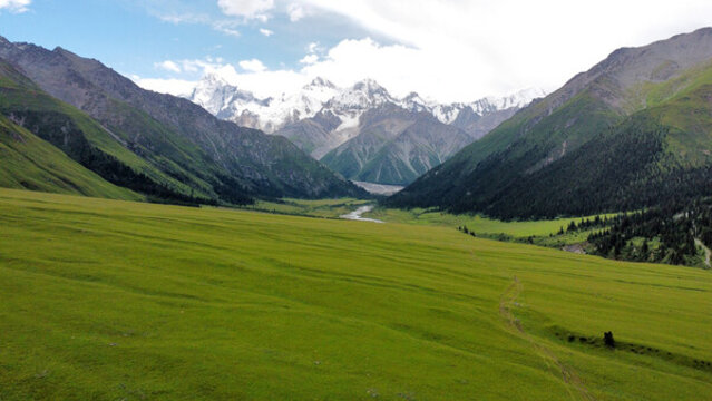 航拍新疆自然雪山森林景观