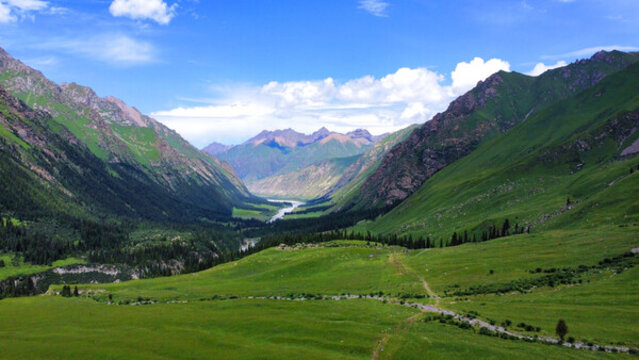 航拍新疆森林草原自然景观