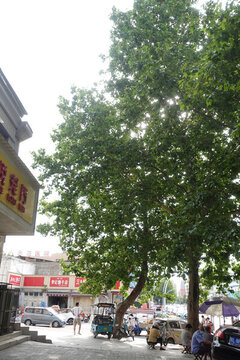 城鎮(zhèn)風(fēng)貌