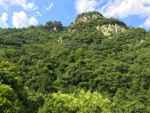 浙江溪口滕頭旅游區(qū)妙高臺