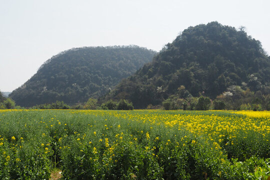 貴州山水