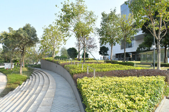 海邊公園的樓梯和綠草