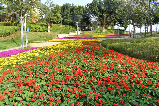 公園里的花朵裝飾