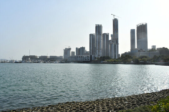 深圳海邊辦公樓景色