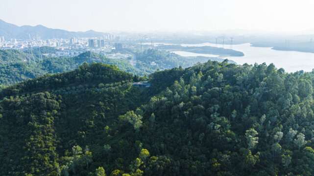 大雁山森林公園