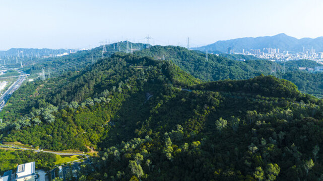 大雁山森林公園