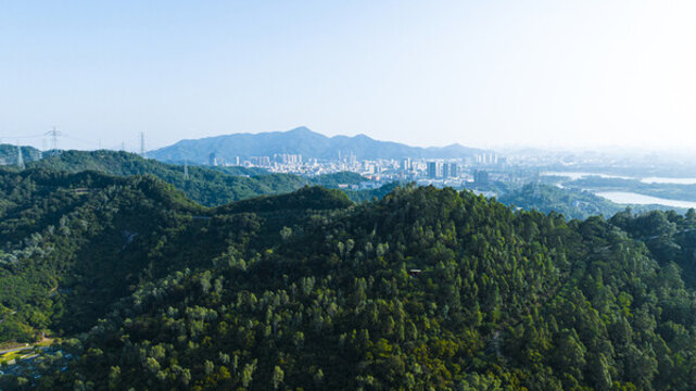 大雁山森林公園