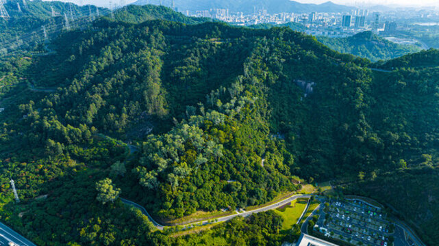大雁山森林公園