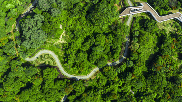虎地山森林公園