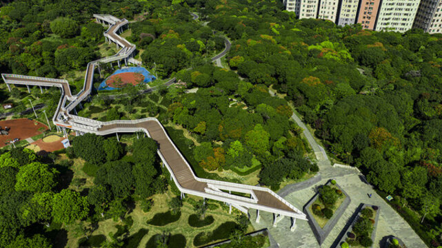 虎地山森林公園