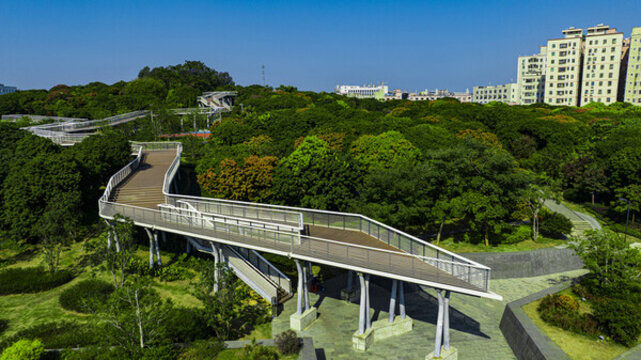 虎地山森林公園