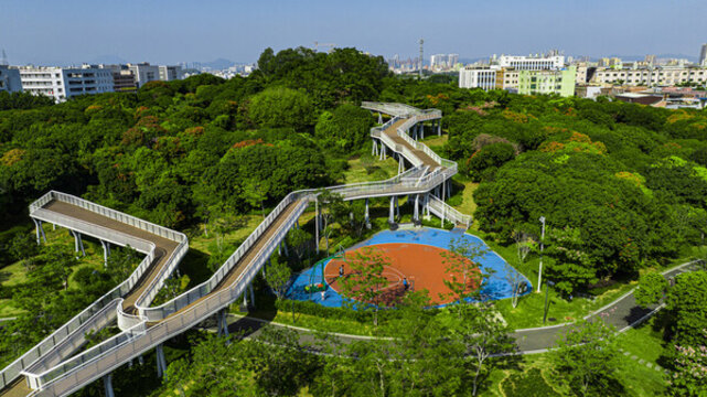 虎地山森林公園