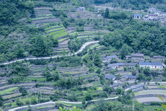 新農(nóng)村