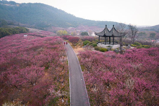 航拍張家港香山梅嶺風(fēng)景區(qū)