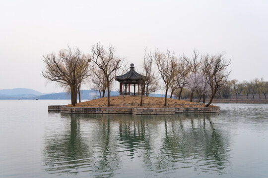 春天游園賞花美景如畫柳綠花紅