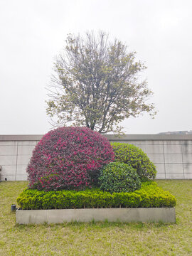 花壇