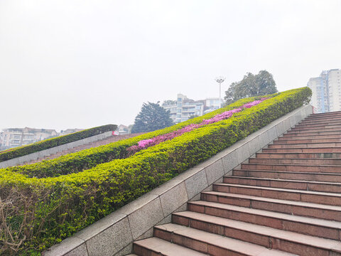 花壇