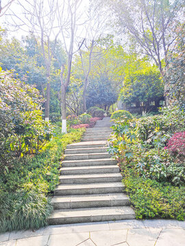 公園石梯石階