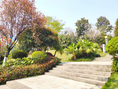 公園石梯石階