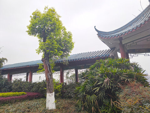 長廊