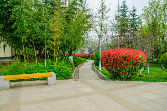 公園風(fēng)景