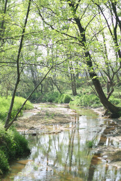 鄉(xiāng)村溪流