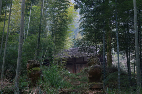 竹中小院