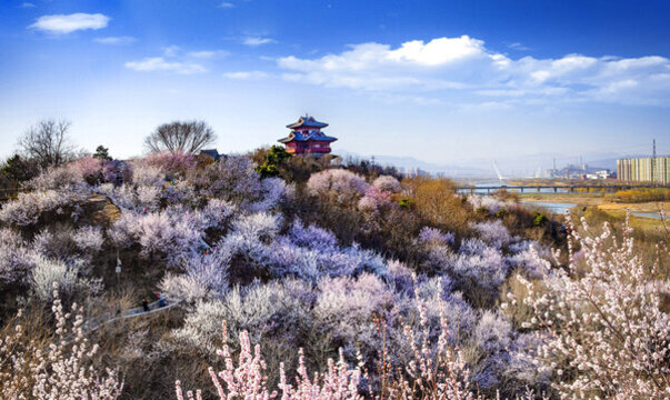 永定河畔