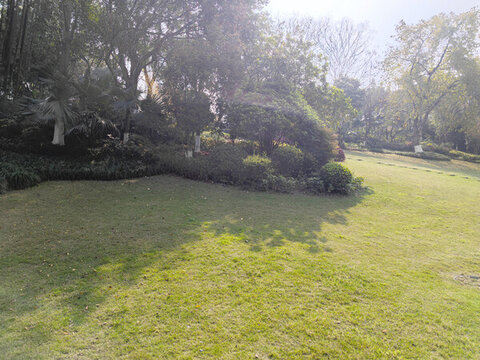 公園草坪綠植