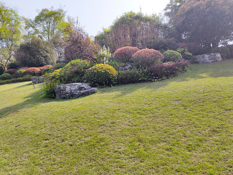 公園草坪綠植